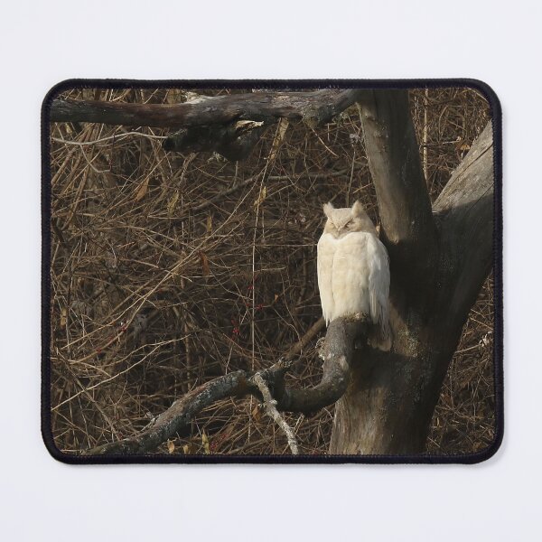 Item preview, Leucistic Great Horned Owl 6 designed and sold by locustgirl.