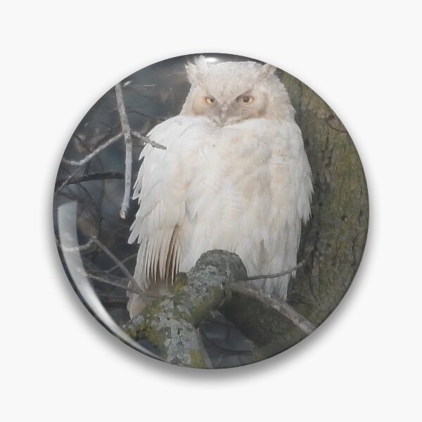 Item preview, Leucistic Great Horned Owl 8 designed and sold by locustgirl.