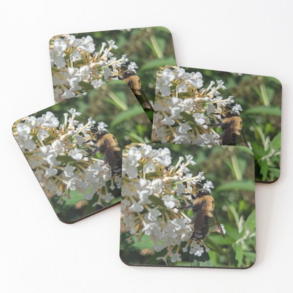 Item preview, Bumble en designed and sold by Emily Noyes.