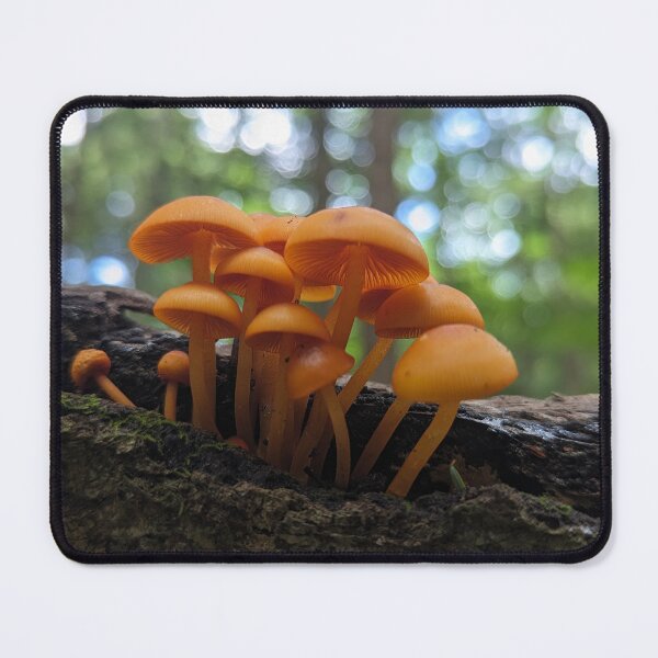 Item preview, Family Gathering designed and sold by Emily Noyes.