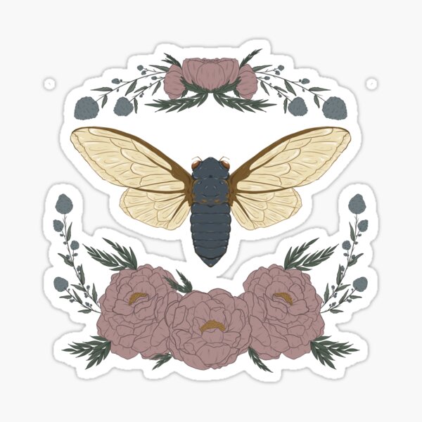 Item preview, Cicada Cycle designed and sold by kellelelen.