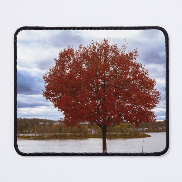 Item preview, Autumn Radiance designed and sold by BadWolfStudios.
