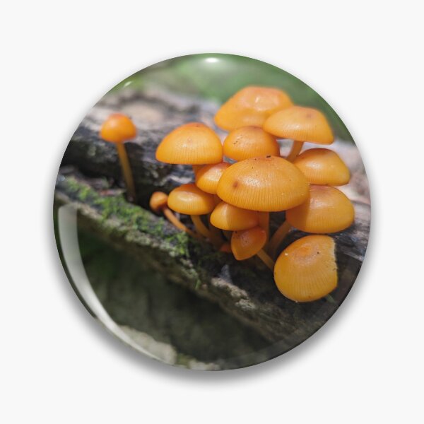 Item preview, Mushrooms on a Log II designed and sold by Emily Noyes.