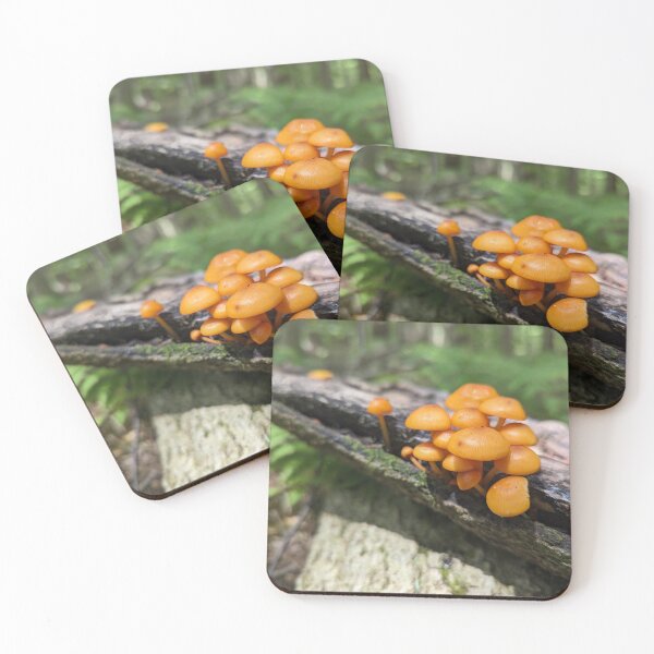 Item preview, Mushrooms on a Log II designed and sold by Emily Noyes.