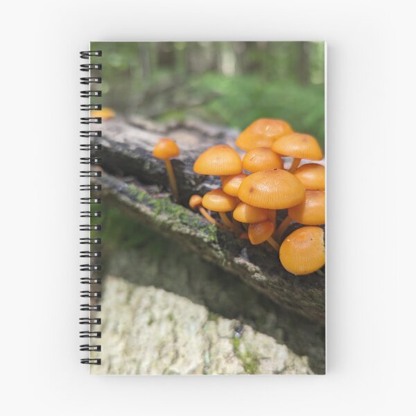 Item preview, Mushrooms on a Log II designed and sold by Emily Noyes.
