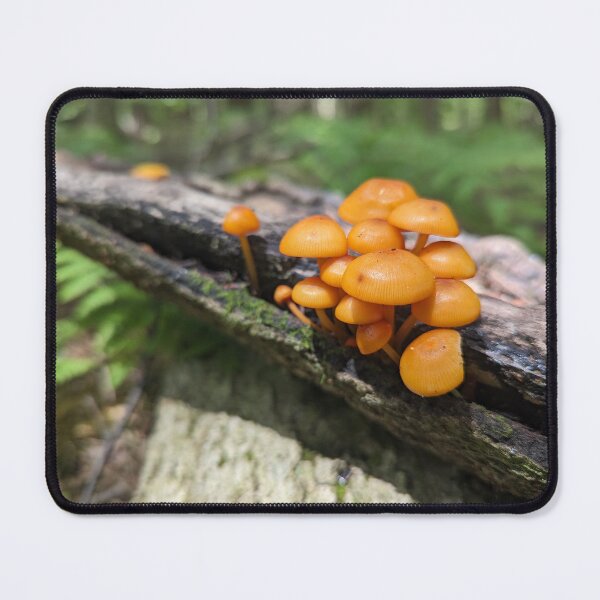 Item preview, Mushrooms on a Log II designed and sold by Emily Noyes.