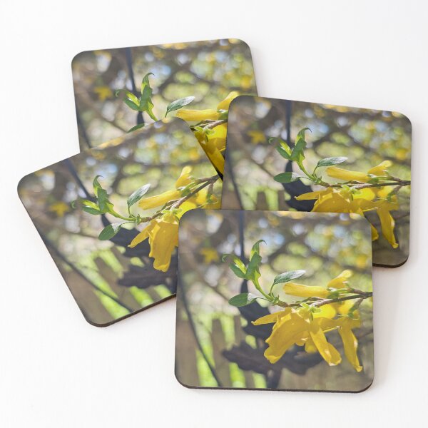 Item preview, Forsythia Flowers Along the Gate designed and sold by Quincy-Hedgehog.