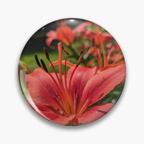 Item preview, Summer Fire designed and sold by Emily Noyes.