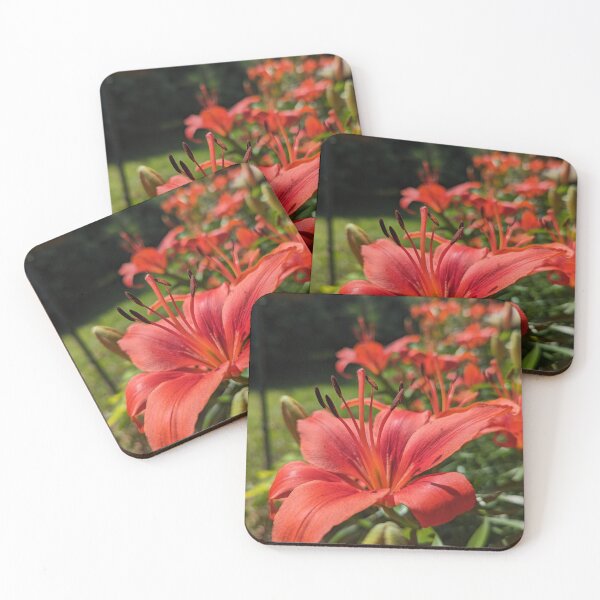 Item preview, Summer Fire designed and sold by Emily Noyes.