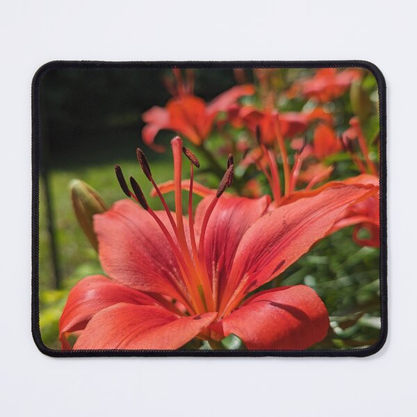Item preview, Summer Fire designed and sold by Emily Noyes.