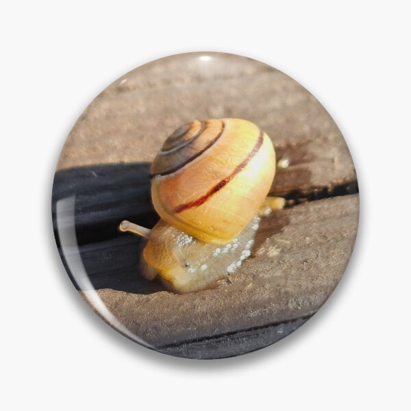 Item preview, Early Morning Snail designed and sold by Quincy-Hedgehog.