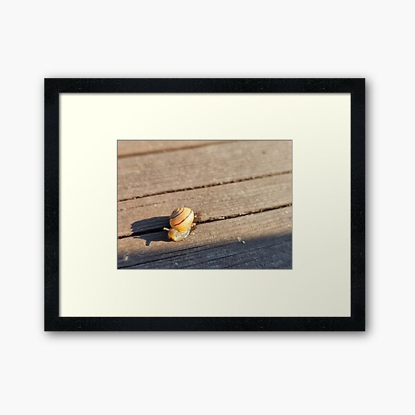 Item preview, Early Morning Snail designed and sold by Quincy-Hedgehog.