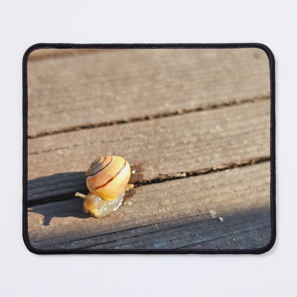 Item preview, Early Morning Snail designed and sold by Quincy-Hedgehog.