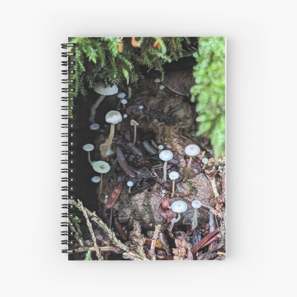 Item preview, Hidden Villiage designed and sold by Emily Noyes.