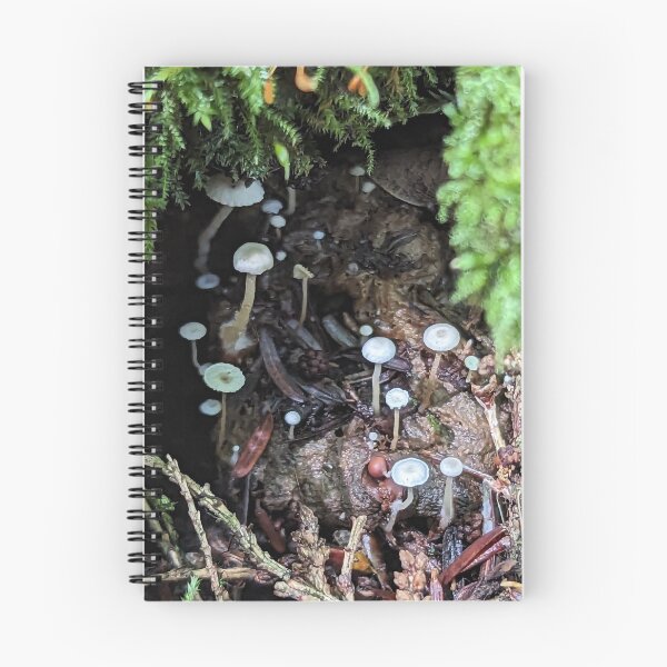 Item preview, Hidden Villiage designed and sold by Emily Noyes.