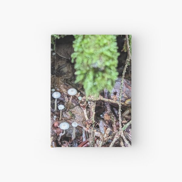 Item preview, Hidden Villiage designed and sold by Emily Noyes.