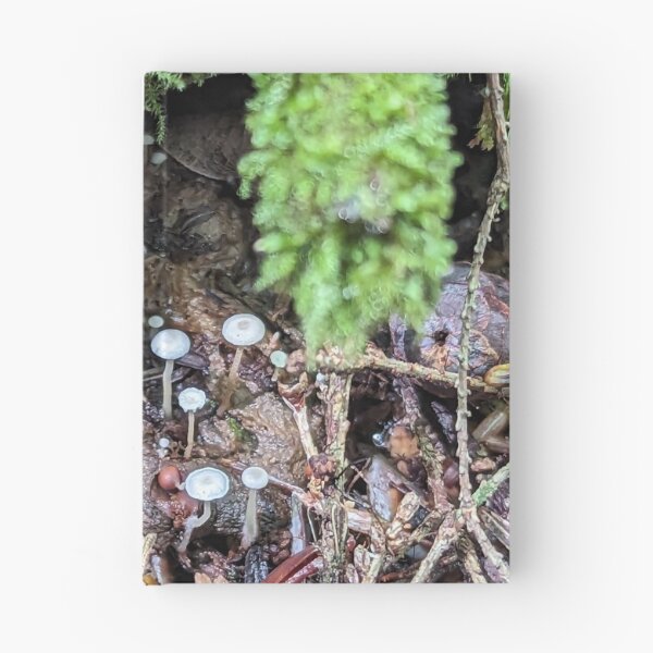 Item preview, Hidden Villiage designed and sold by Emily Noyes.