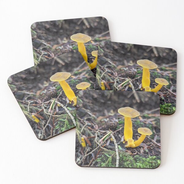 Item preview, Fungal Sunshine designed and sold by Emily Noyes.