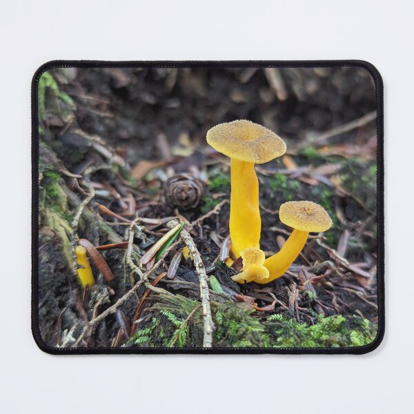 Item preview, Fungal Sunshine designed and sold by Emily Noyes.