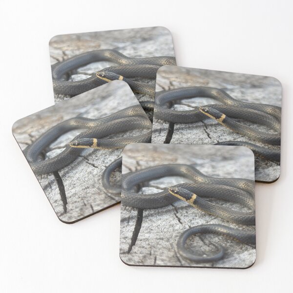 Item preview, Eastern Ringneck Snake designed and sold by Emily Noyes.