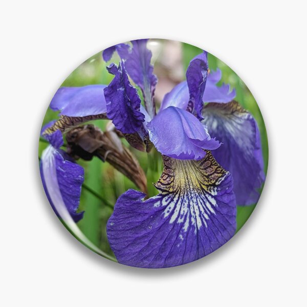 Item preview, Siberian Iris designed and sold by Emily Noyes.