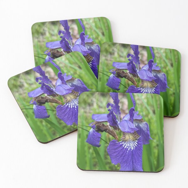 Item preview, Siberian Iris designed and sold by Emily Noyes.