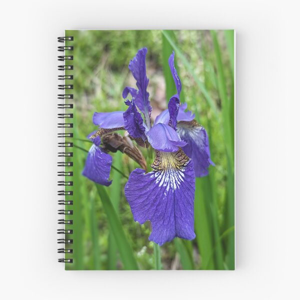 Item preview, Siberian Iris designed and sold by Emily Noyes.