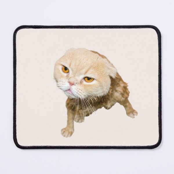 Item preview, Annoyed Cat designed and sold by dobiegerl.