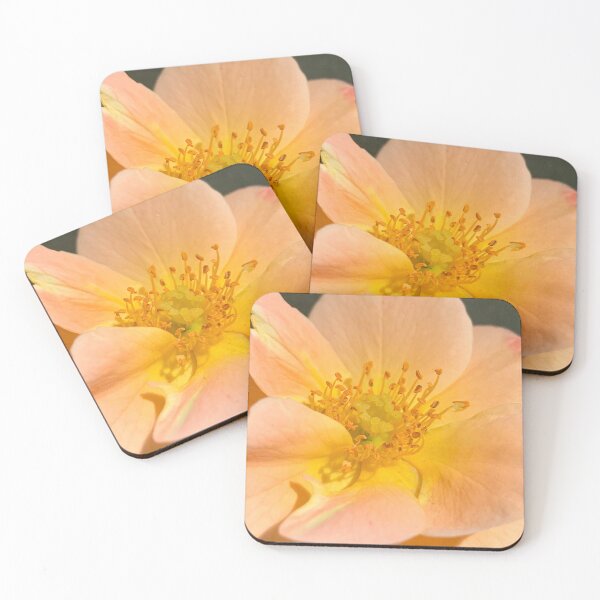 Item preview, Golden Stamens designed and sold by Betsy Phillips.