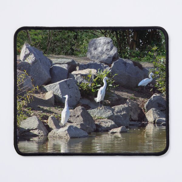 Item preview, Herons Taking a Walk designed and sold by heatherfriedman.