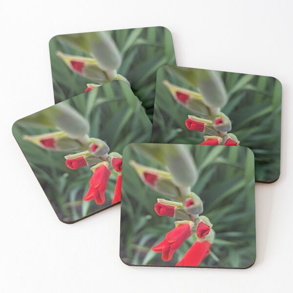 Item preview, Stand Out designed and sold by Emily Noyes.