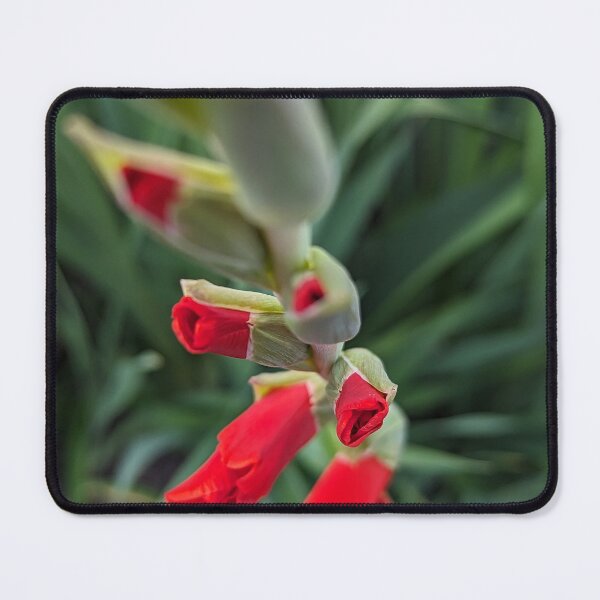 Item preview, Stand Out designed and sold by Emily Noyes.