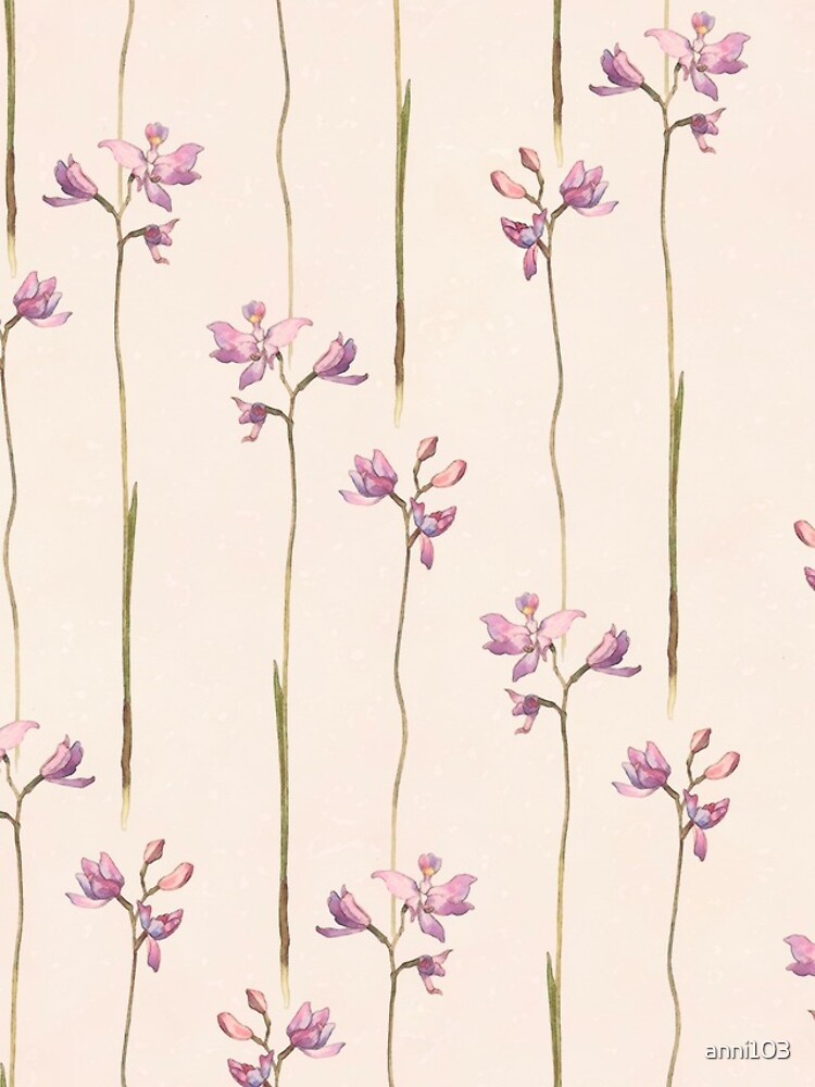 Orchids by anni103