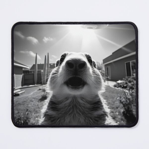 Item preview, Alien Encounter Selfie: Shocked Marmot & Giant UFO – Retro B&W Wildlife Photo designed and sold by WAUZ.