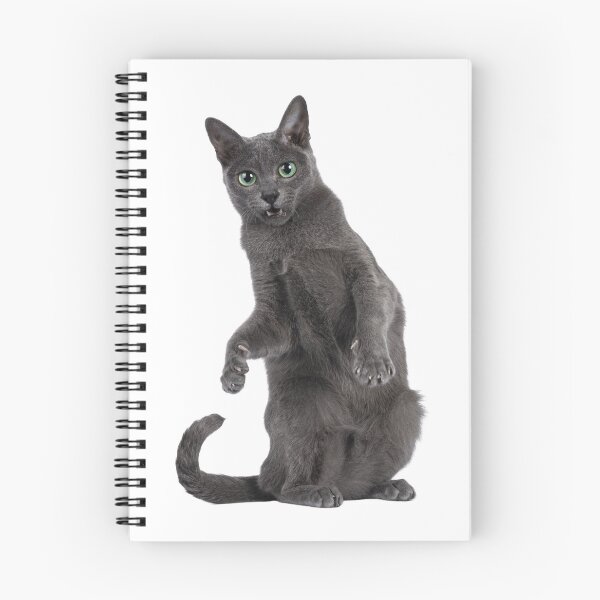 Aperçu de l'œuvre Gray Cat créée et vendue par dfai.
