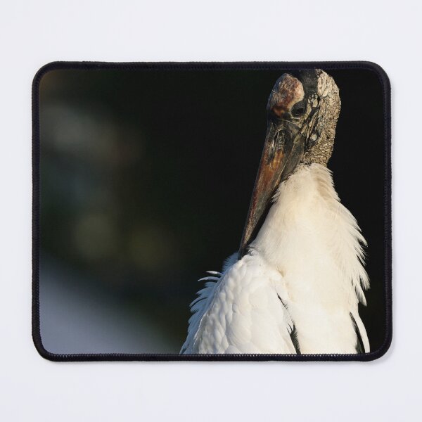 Item preview, Wood Stork designed and sold by herongirlart.