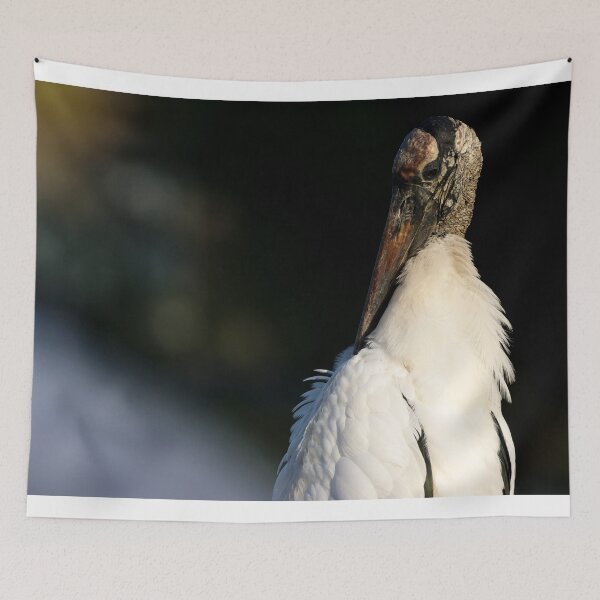 Item preview, Wood Stork designed and sold by herongirlart.