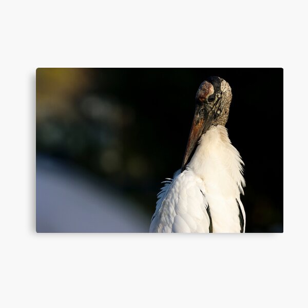Item preview, Wood Stork designed and sold by herongirlart.