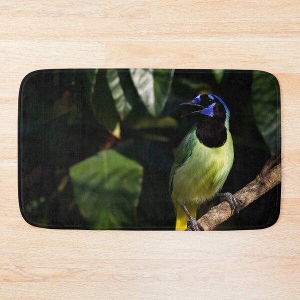 Item preview, Green Jay designed and sold by herongirlart.