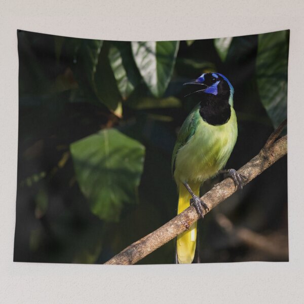 Item preview, Green Jay designed and sold by herongirlart.