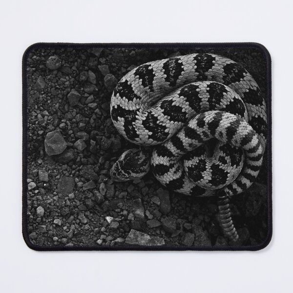 Item preview, Great Basin Rattlesnake designed and sold by herongirlart.