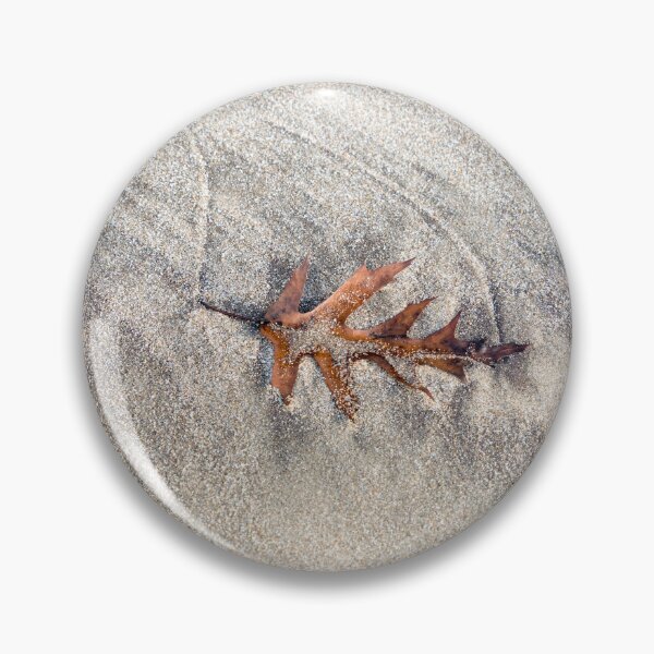 Item preview, Natural Still Life with Singular Oak Leaf on Sand designed and sold by Georgia Mizuleva.