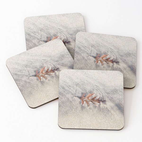 Item preview, Natural Still Life with Singular Oak Leaf on Sand designed and sold by Georgia Mizuleva.