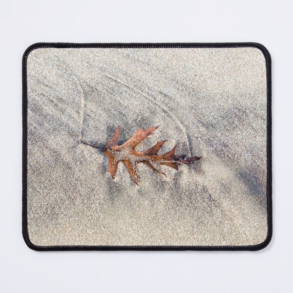 Item preview, Natural Still Life with Singular Oak Leaf on Sand designed and sold by Georgia Mizuleva.
