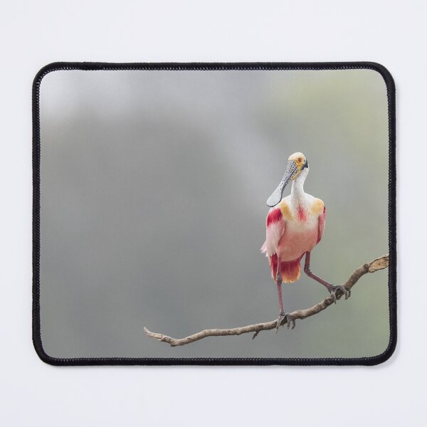 Item preview, Portrait of a Roseate spoonbill designed and sold by Puttaswamy Ravishankar.