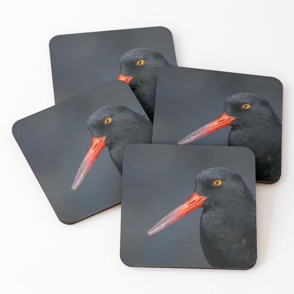 Item preview, Black Oystercatcher designed and sold by herongirlart.