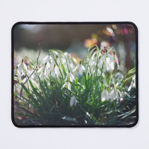 Item preview, Snowdrops designed and sold by Alisonchambers2.