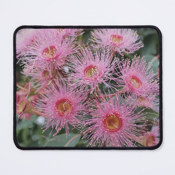 Item preview, Pink Gumnut designed and sold by beerman70.