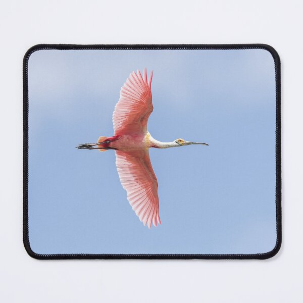 Item preview, Sky is the Limit designed and sold by Puttaswamy Ravishankar.