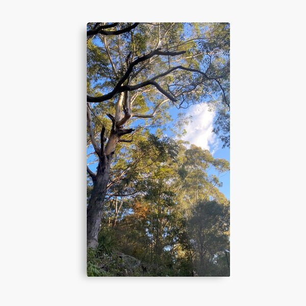 Item preview, Forest tree designed and sold by LuminousLensAU.